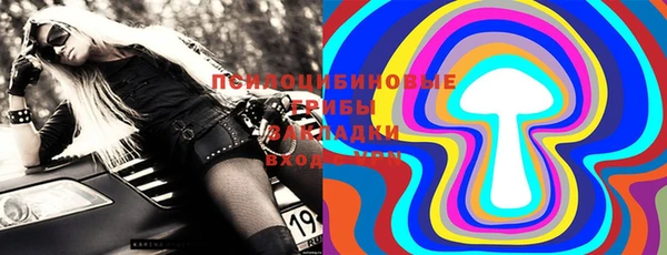 твердый Тавда