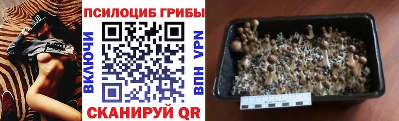 Галлюциногенные грибы ЛСД  Кострома 